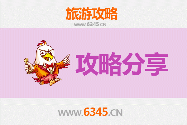 海北海晏旅游攻略：跟团与自由行深度对比